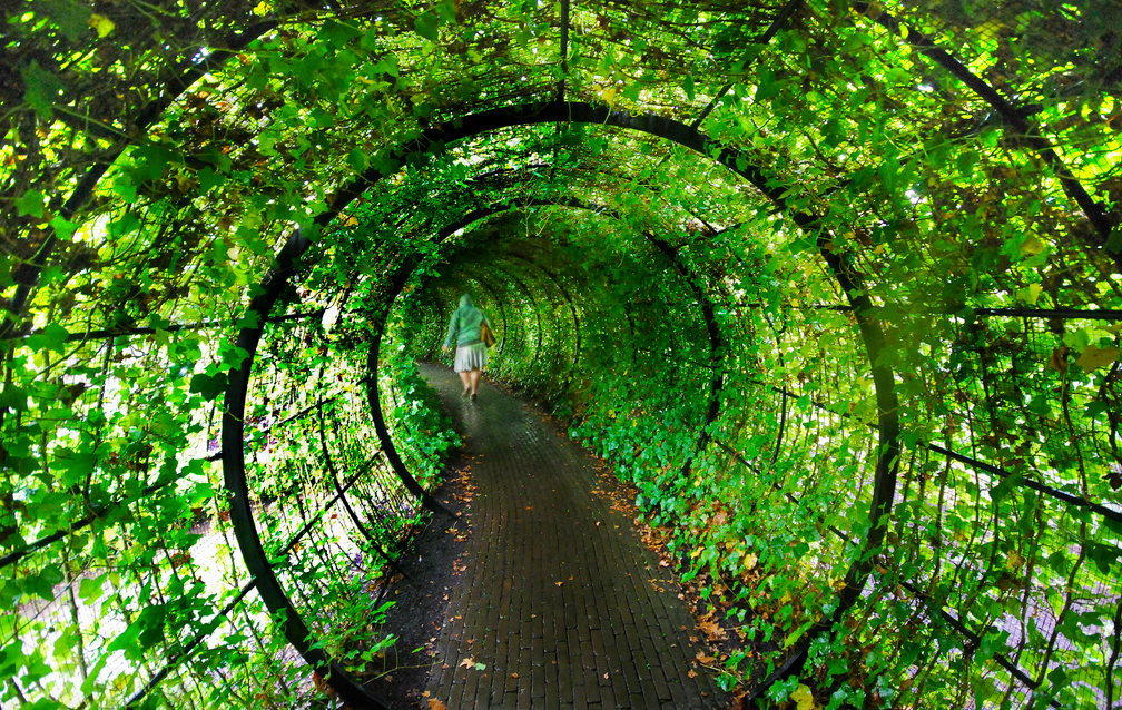 Short Story: "In the Garden of Death"